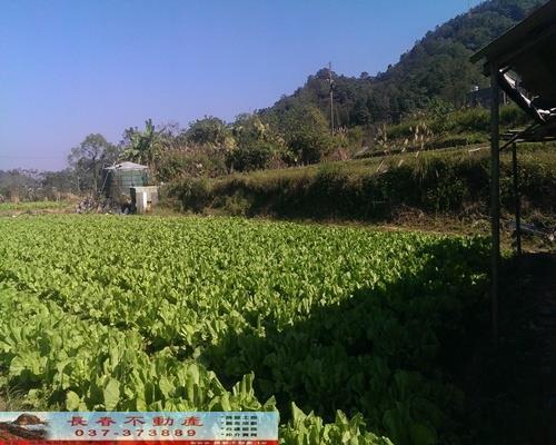 獅潭農地-2