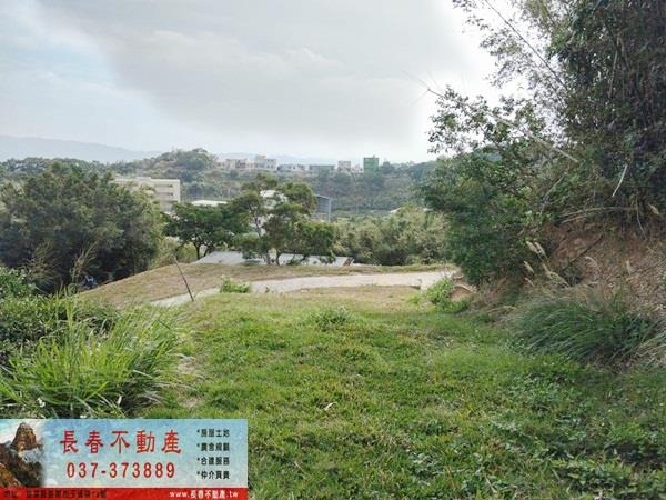 苗栗建地-3