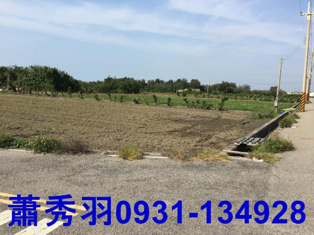 苗栗苑裡農地-1