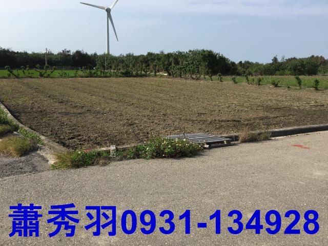 苗栗苑裡農地-2