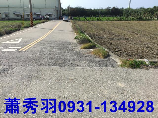 苗栗苑裡農地-3