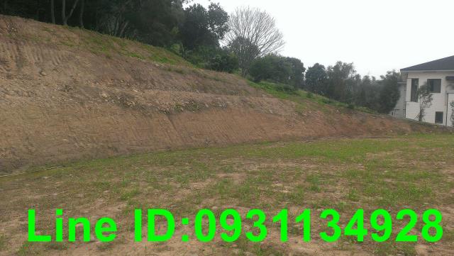 苗栗苑裡建地-2