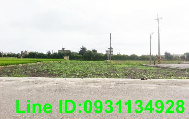 苗栗苑裡農地-1