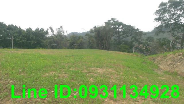 苗栗苑裡建地-0