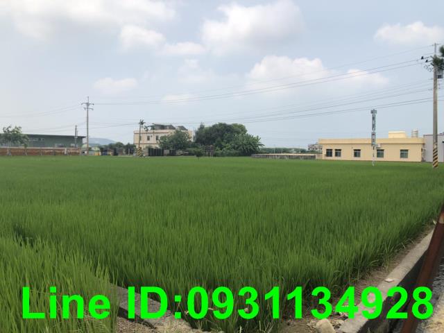 苗栗苑裡農地-3