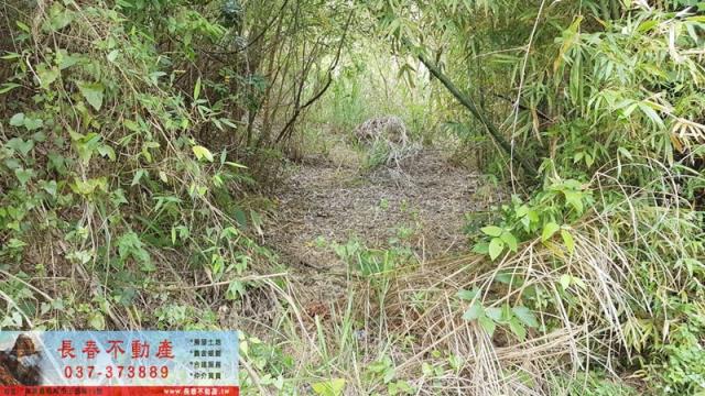 苗栗銅鑼農地-0