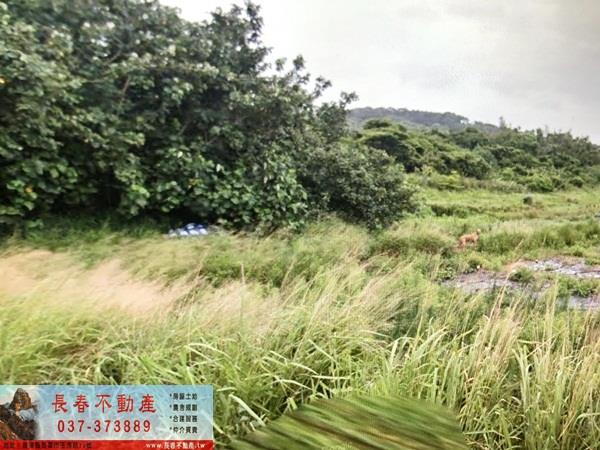 苗栗通霄農地-0