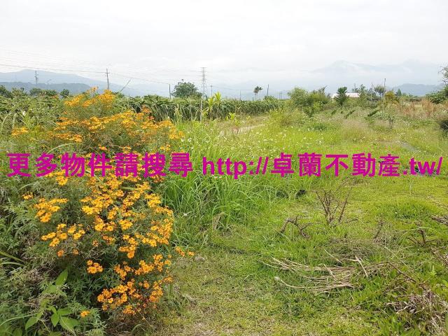 苗栗卓蘭農地-0