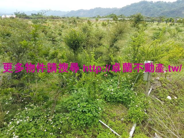 苗栗卓蘭農地-1