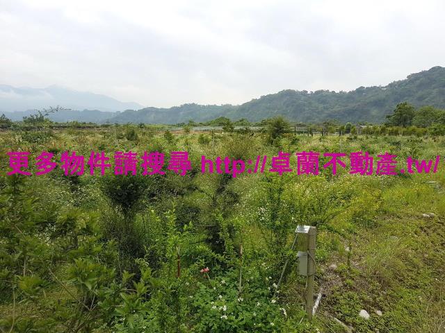 苗栗卓蘭農地-2