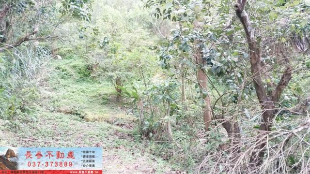 苗栗頭屋農地-0