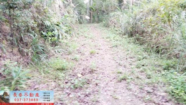 苗栗頭屋農地-2