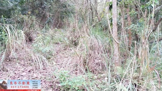 苗栗頭屋農地-3