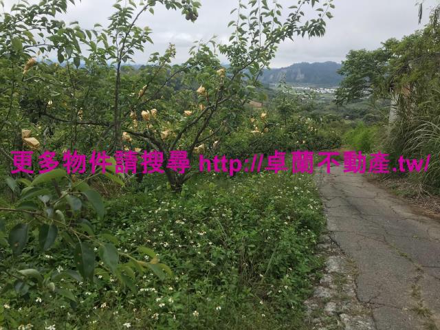 苗栗卓蘭農地-3