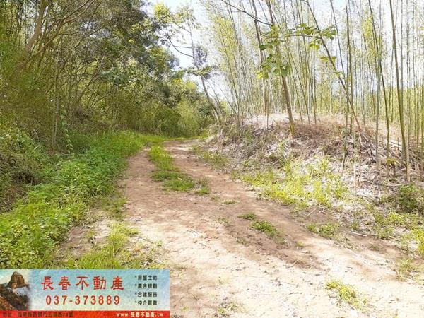 造橋農地-0