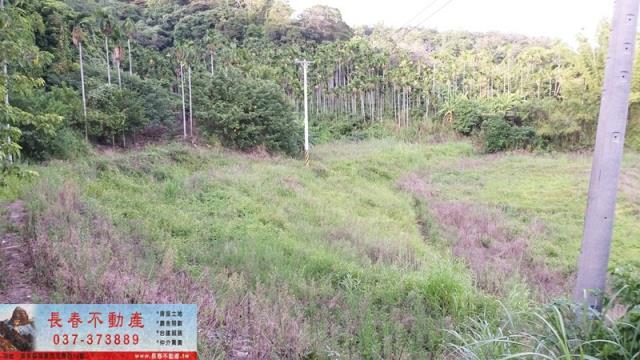 苗栗銅鑼建地-0