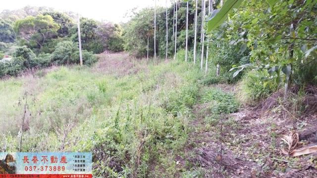 苗栗銅鑼建地-2