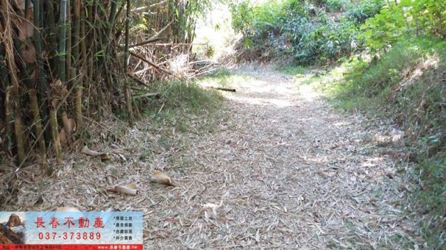 苗栗銅鑼建地-4