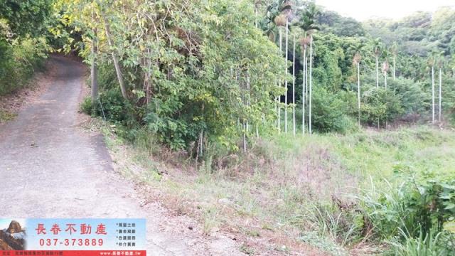 苗栗銅鑼建地-7