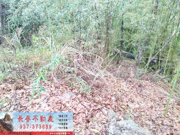 銅鑼農地-3