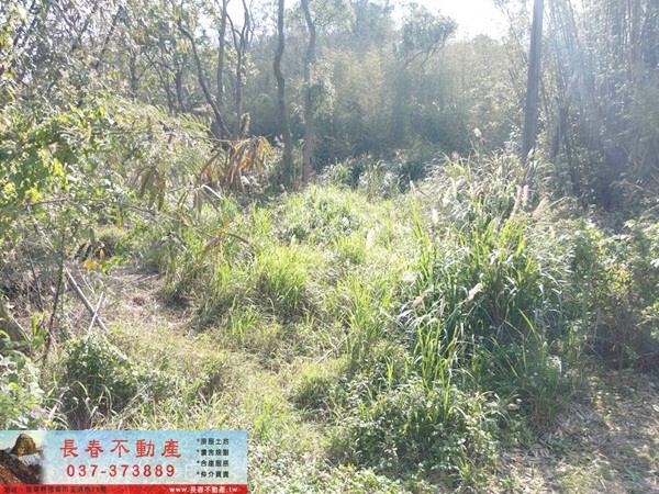 苗栗建地-5