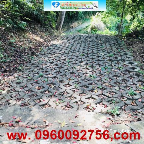 苗栗三灣農地-1