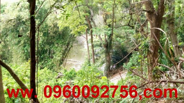 苗栗三灣農地-2