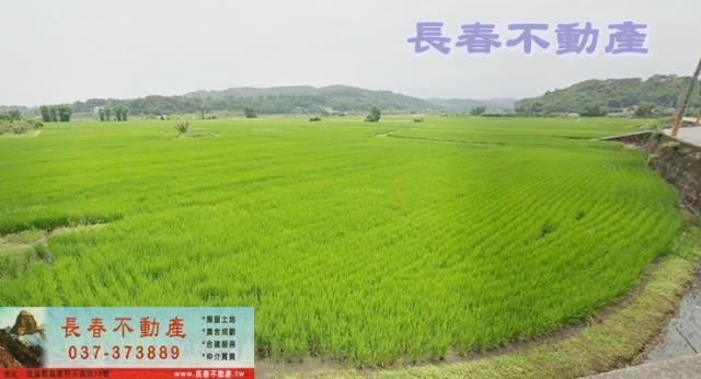 西湖農地-0