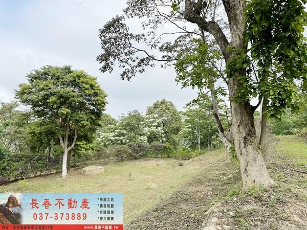 苗栗農地-2