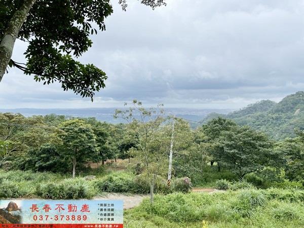苗栗農地-9