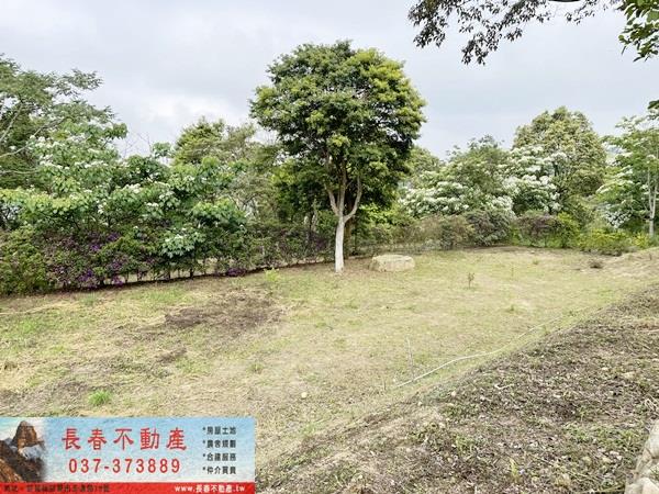 苗栗農地-4