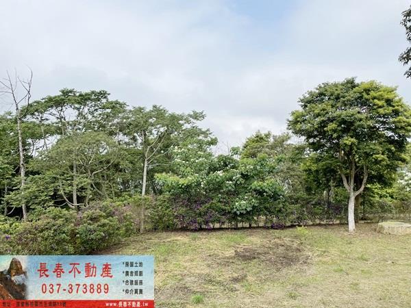苗栗農地-5
