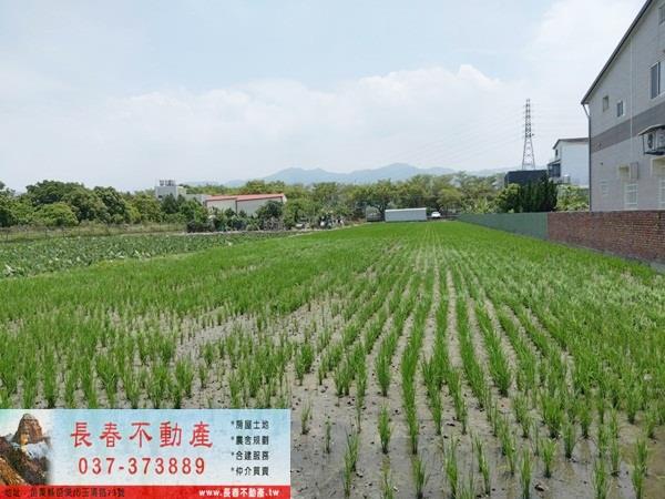 苗栗市農地-0