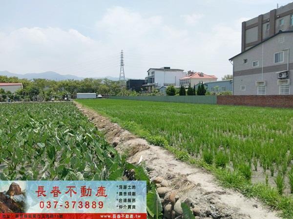 苗栗市農地-1
