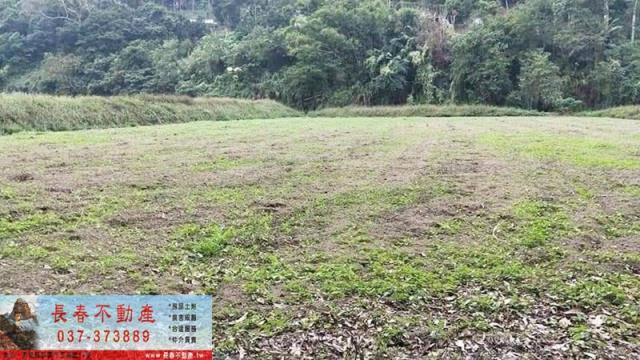 三灣農地-2