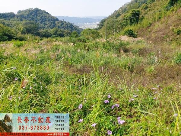 苗栗公館農地-11