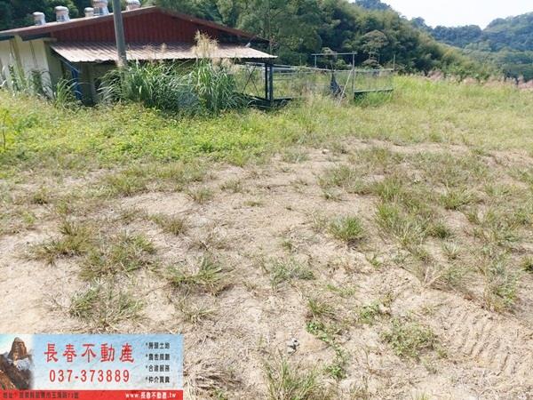 苗栗公館農地-1