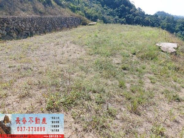 苗栗公館農地-3