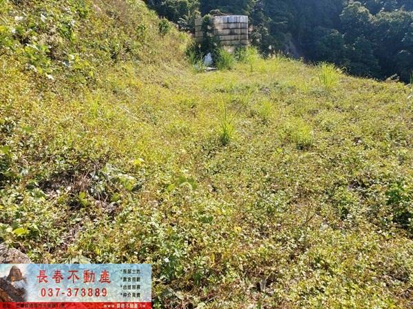 苗栗公館農地-5