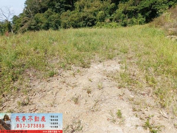 苗栗公館農地-8