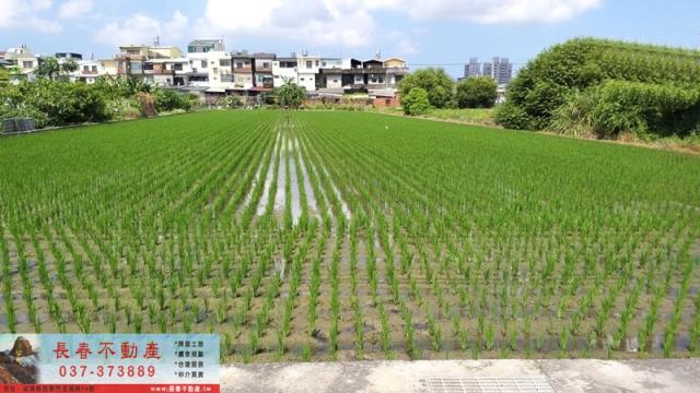 苗栗農地-0