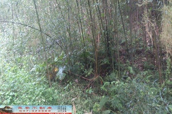 苗栗大湖農地-4