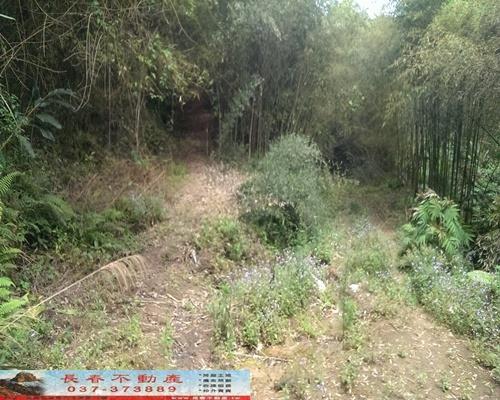 苗栗大湖農地-8