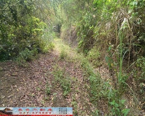 苗栗大湖農地-9