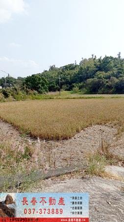 苗栗農地-0