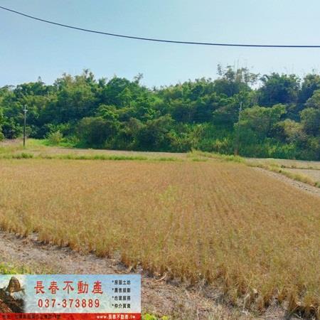 苗栗農地-2