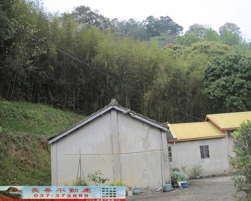 苗栗大湖建地-1