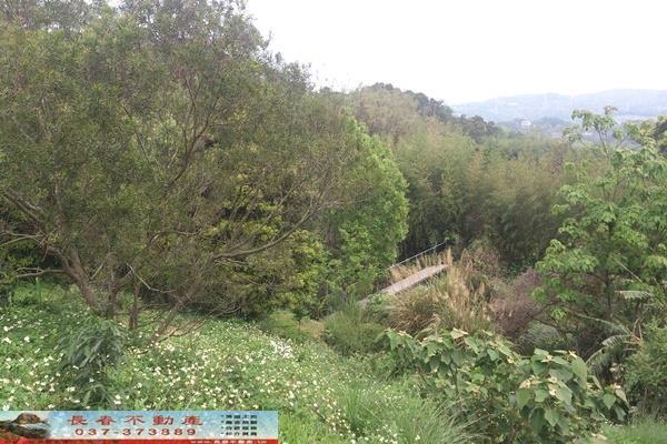 苗栗苗栗市農地-4