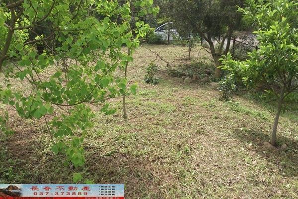 苗栗苗栗市農地-5