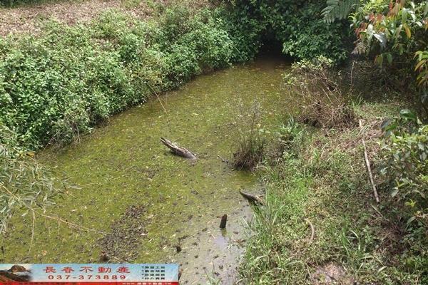 苗栗苗栗市農地-6